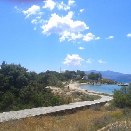 Katerinas Villa Agia Anna (Naxos) Exterior foto